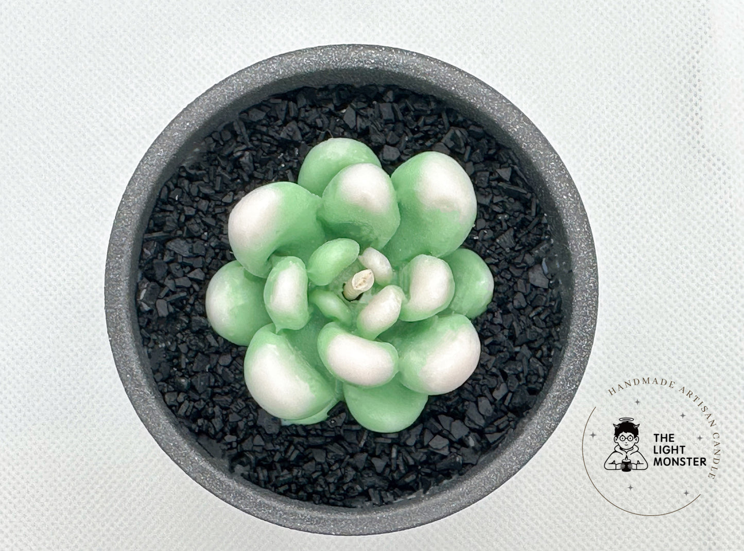 Succulent Pot