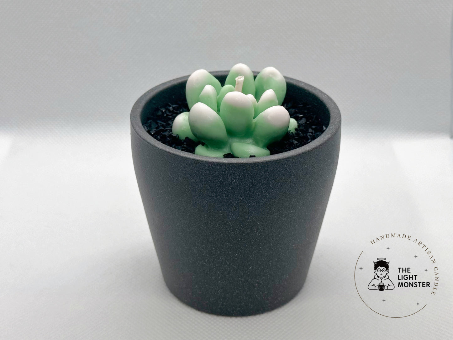 Succulent Pot
