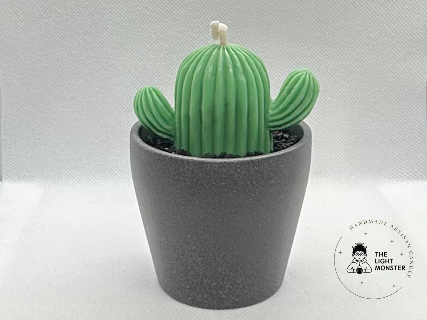 Cactus Pot