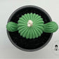 Cactus Pot