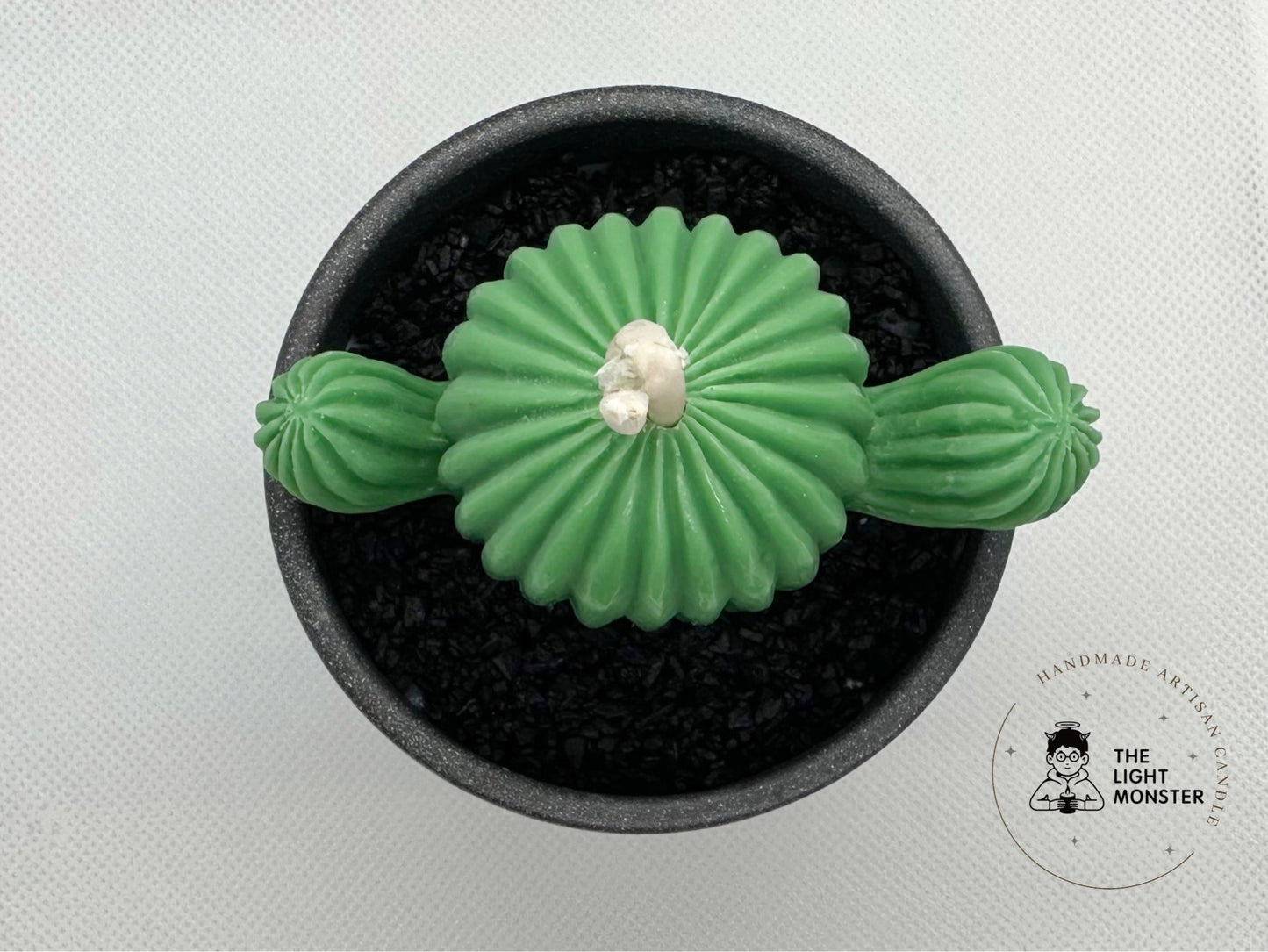 Cactus Pot