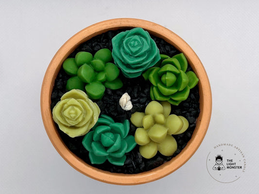 Succulent - TheLightMonster
