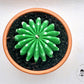 Melocactus - TheLightMonster