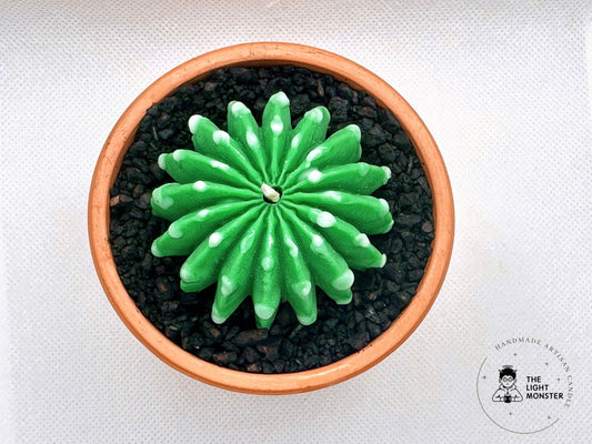 Melocactus - TheLightMonster