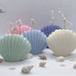 Sea Shell - TheLightMonster