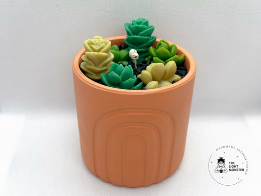 Succulent - TheLightMonster