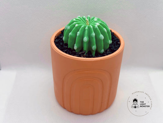 Melocactus - TheLightMonster