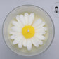 Daisy In Cup - TheLightMonster